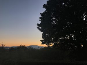 VIEW FROM STUDIO